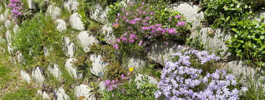 Frühlingsimpressionen von unseren Hütten
