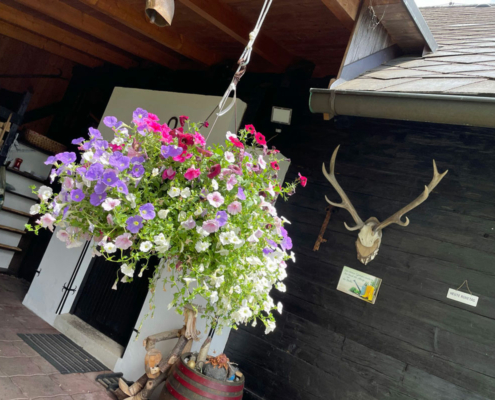 Frühlingsimpressionen von unseren Hütten
