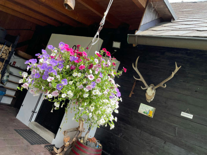 Frühlingsimpressionen von unseren Hütten