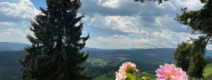 Frühlingsimpressionen von unseren Hütten