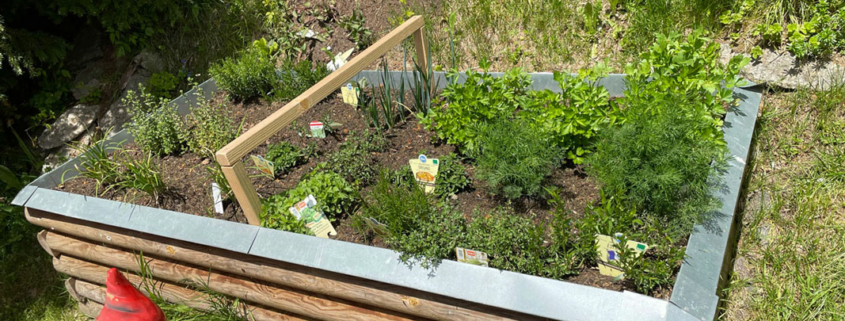 Frühlingsimpressionen von unseren Hütten