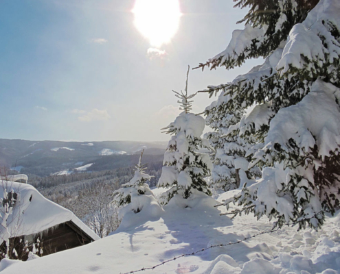 Winter Wonderland