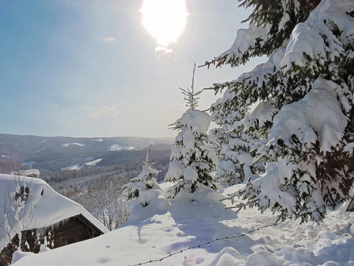 Winter Wonderland