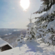Winter Wonderland