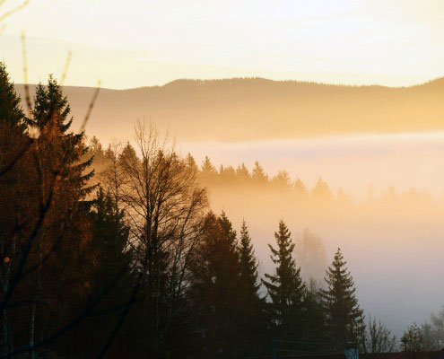Herbst Aktion auf der Glühwürmchenhütte & Romantikhütte