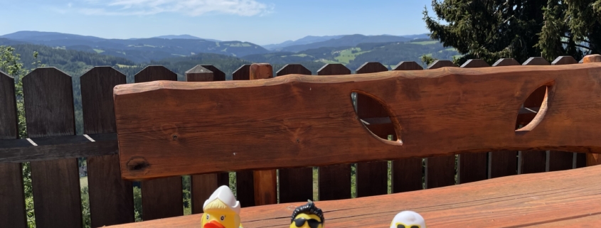 Unsere Badeenten genießen den Hot Pot in vollen Zügen