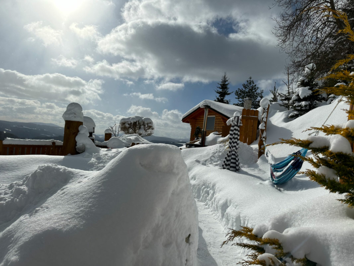Schneeabenteuer in der Berghütte