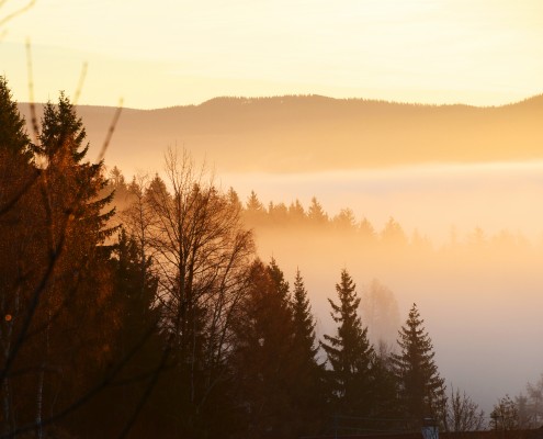 Herbstlicher Nebel über den Wäldern: Ein Zeichen des Jahreszeitenwechsels