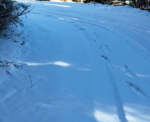 Winterzauber in der Steiermark – Unvergessliche Tage in der Berghütte