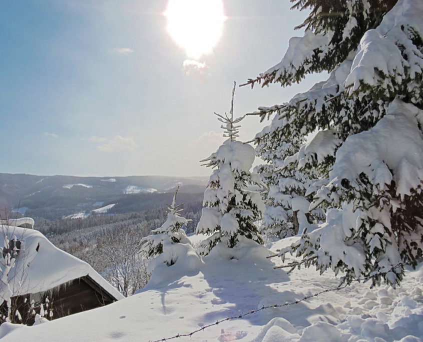 Zwei Chalets in Toplage – Natururlaub in der Steiermark mieten